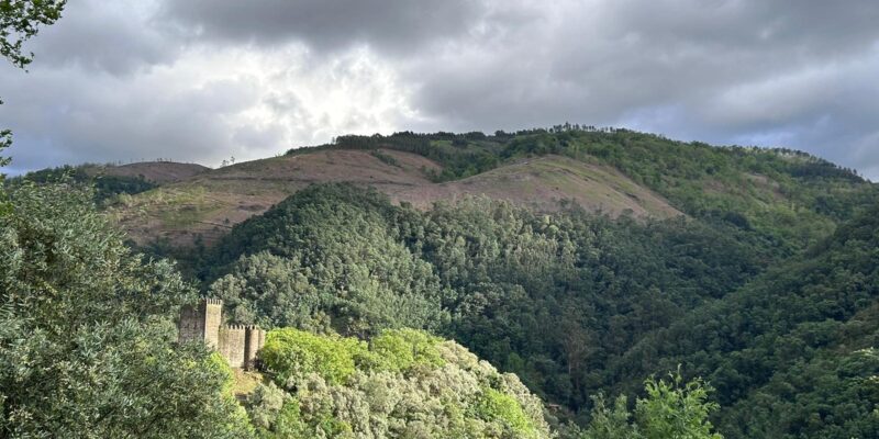 Talasnal de luto contra destruição da natureza junto à aldeia